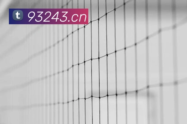 pg国际登录入口APP 体育赛事宣传图